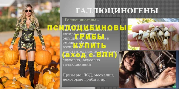 ешки Зеленодольск